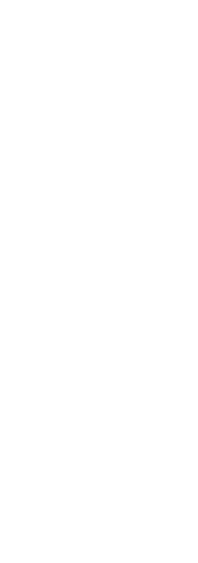 fsm